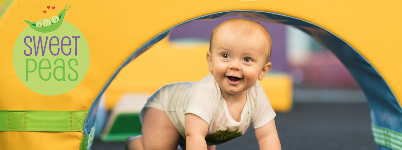 Sweet Peas Elevate Gymnastics Sign up today!