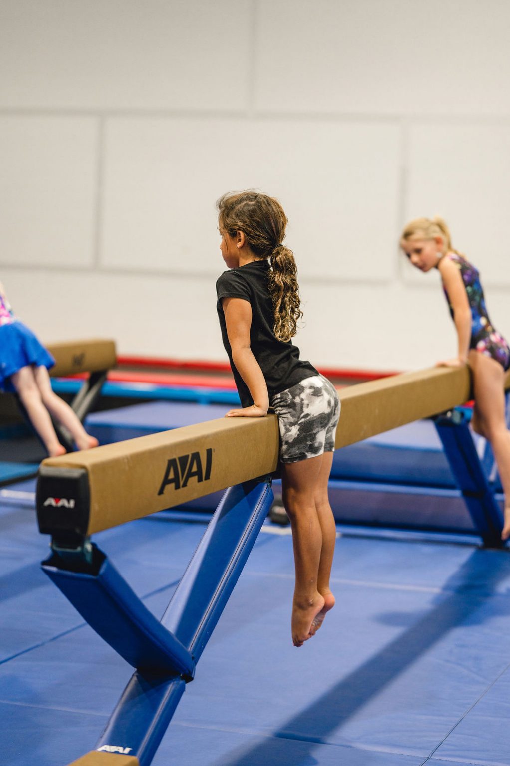 Gymnastics Rings Training System With Half Safety Belt - 200KG Capacity Adjustable Pulley Setup