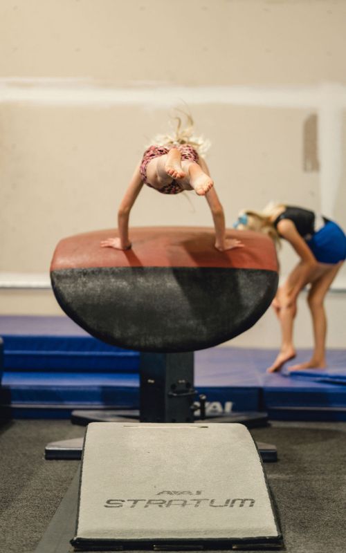 equipment in gymnastics vault