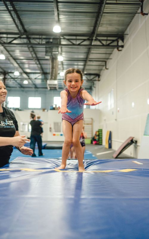 equipment in gymnastics matts and various accessories