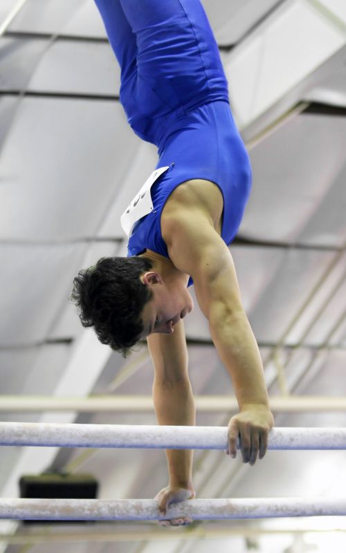 equipment in gymnastics boys parallel bars