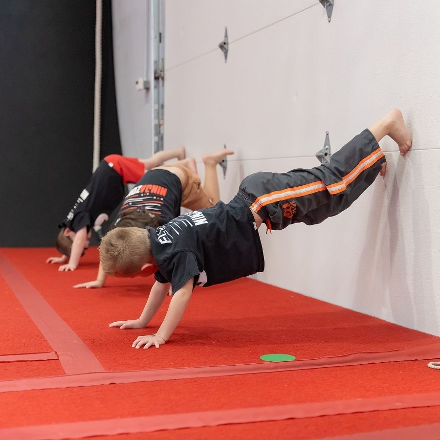 Multi-Discipline Training lil ninja class conditioning