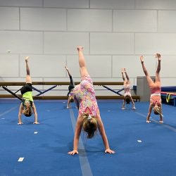 Girls Recreational Gymnastics